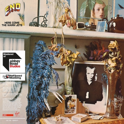 Brian Eno - Here Come The Warm (LP)