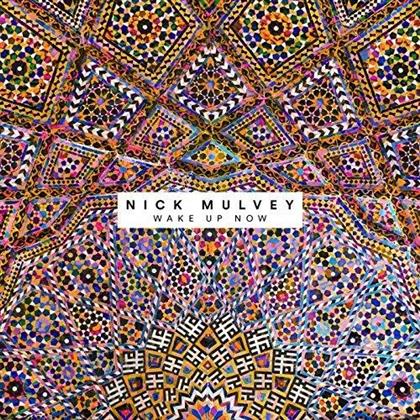 Nick Mulvey - Wake Up Now (Japan Edition)