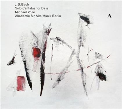 Johann Sebastian Bach (1685-1750), Raphael Alpermann, Robin Johannsen, Michael Volle & Akademie fuer Alte Musik Berlin - Solo Cantatas For Bass - BWV21, BWV42, BWV158, BWV169, BWV56