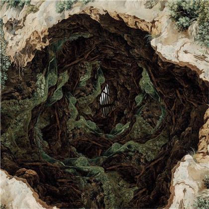 Aether - The Future We Used To Have (LP)