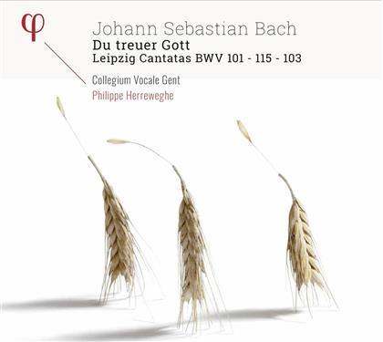 Dorothee Mields, Johann Sebastian Bach (1685-1750), Philippe Herreweghe & Collegium Vocale Gent - Kantaten BWV 101, 103 & 115