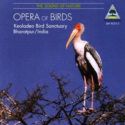 Peter Pannke & Andreas Bosshard - Opera Of Birds