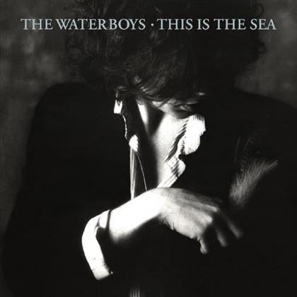 The Waterboys - This Is The Sea - US Version