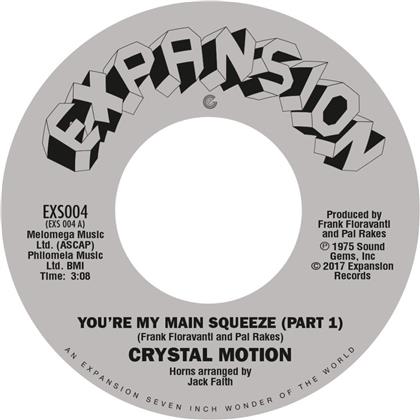 Crystal Motion - You're My Main Squeeze (12" Maxi)