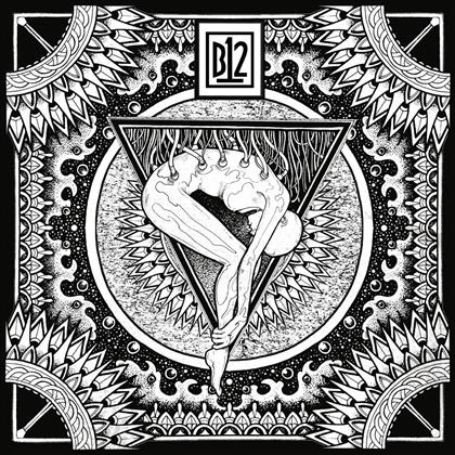 B12 (Techno) - Electro-Soma II - Remastered Black LP (2 LPs + Digital Copy)