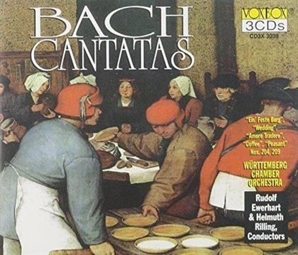 Johann Bernhard Bach, Rudolf Ewerhart, Helmuth Rilling & Kammerorchester Württemberg - Kantaten (3 CD)