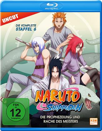 Naruto Shippuden - Staffel 6 (Uncut)