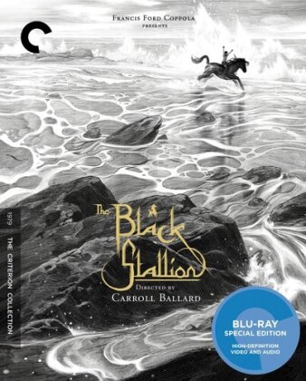The Black Stallion (1979) (Criterion Collection)