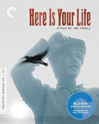 Here Is Your Life (1966) (Criterion Collection)