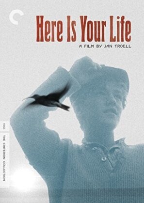 Here Is Your Life (1966) (Criterion Collection, 2 DVDs)