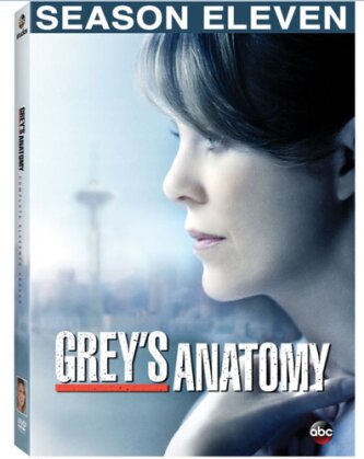 Grey's Anatomy - Season 11 (6 DVDs)