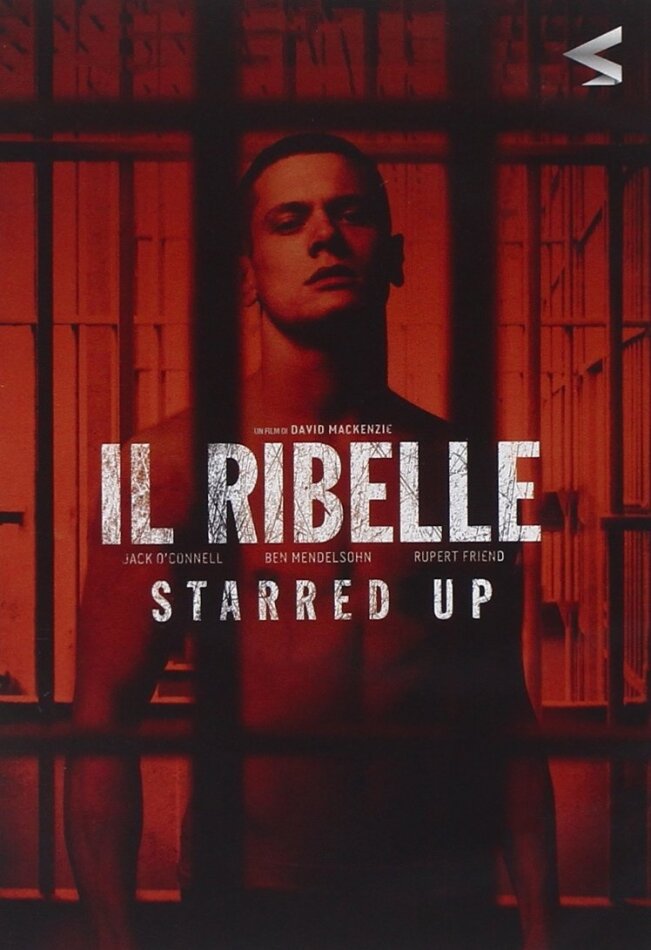 Il ribelle (2013)