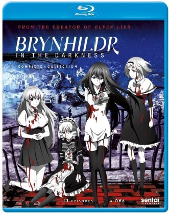 Brynhildr in the Darkness - The Complete Collection (2 Blu-rays)