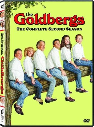 The Goldbergs - Season 2 (3 DVDs)