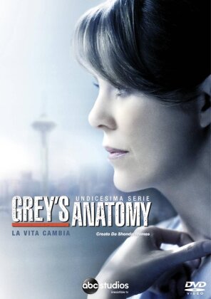 Grey's Anatomy - Stagione 11 (6 DVD)