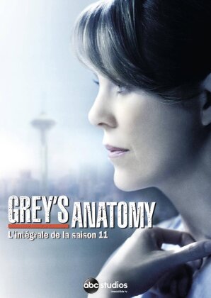 Grey's Anatomy - Saison 11 (6 DVDs)