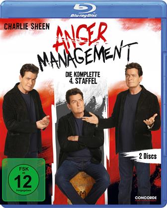 Anger Management - Staffel 4 (2 Blu-ray)