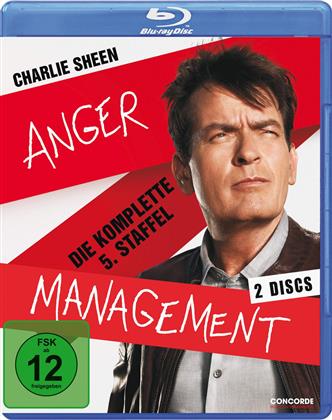 Anger Management - Staffel 5 (2 Blu-ray)
