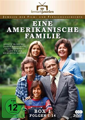 Eine Amerikanische Familie - Box 1 - Folgen 1-14 (Fernsehjuwelen, 4 DVDs)