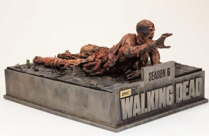 The Walking Dead - Staffel 5 (Limitierte Asphalt Walker Edition, Uncut, 6 Blu-rays)