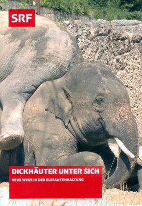 Dickhäuter unter sich - Neue Wege in der Elefantenhaltung - SRF Dokumentation