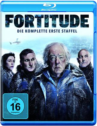 Fortitude - Staffel 1 (2 Blu-rays)