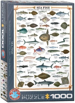 Pesce di mare - Puzzle [1000 pezzi]