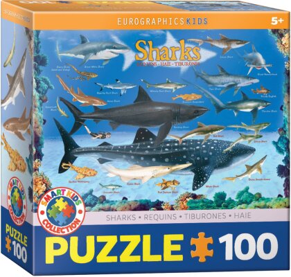 Haie - 100 Teile Puzzle