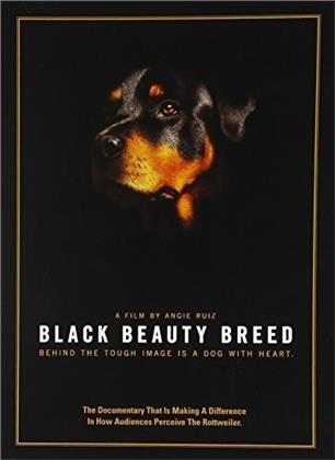 Black Beauty Breed (2014)