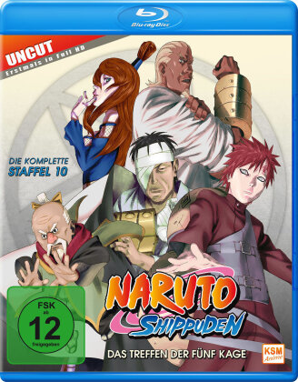 Naruto Shippuden - Staffel 10 (Uncut)