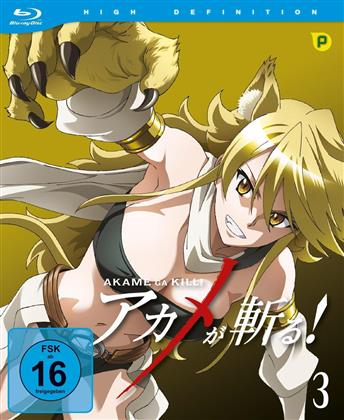 Akame ga Kill! - Staffel 1 - Vol. 3 (Limited Edition, Blu-ray + CD)