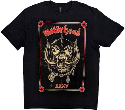 Motorhead Anniversary (Propaganda)