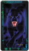 Panther. 3D Magna