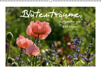 Blütenträume (Wandkalender immerwährend DIN A2 quer)