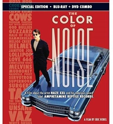 The Color of Noise (Special Edition, Blu-ray + DVD)