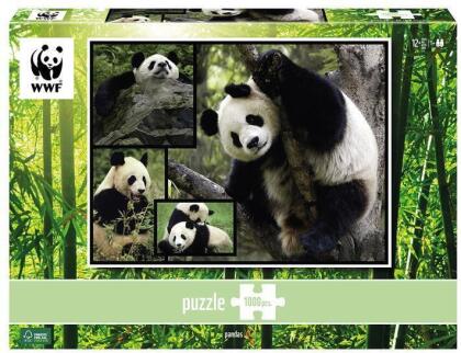 WWF: Giant Pandas - Puzzle