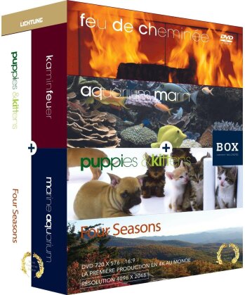 Feu de cheminée / aquarium / chiots et chatons / quatre saisons - Box (4 DVDs)