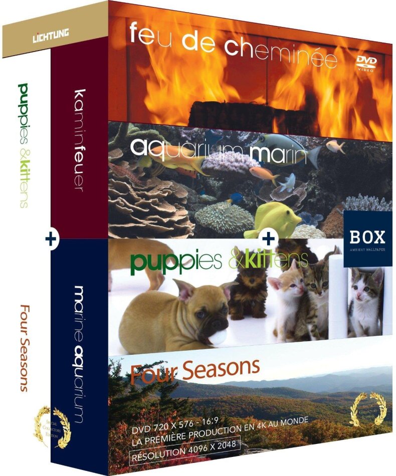 Feu de cheminée / aquarium / chiots et chatons / quatre saisons - Box (4  DVD)