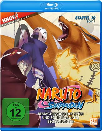 Naruto Shippuden - Staffel 12 - Box 1 (Uncut, 2 Blu-ray)
