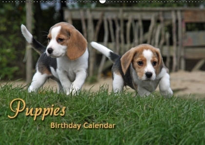 Puppies Birthday Calendar / UK-Version (Wall Calendar perpetual DIN A2 Landscape)