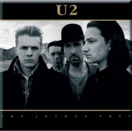 Magnet U2 Motiv - Joshua Tree Album / bunt