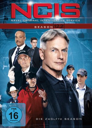 NCIS - Navy CIS - Staffel 12.2 (3 DVDs)