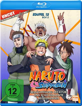 Naruto Shippuden - Staffel 12 - Box 2 (Uncut, 2 Blu-ray)