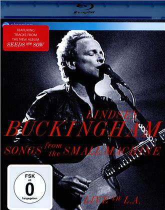 Lindsey Buckingham (Fleetwood Mac) - Songs from the Small Machine - Live in L.A. (EV Classics)