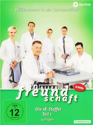 In aller Freundschaft - Staffel 18.1 (6 DVDs)