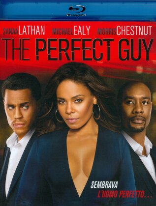 The Perfect Guy (2015)