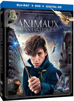 Les animaux fantastiques (2016) (Blu-ray + DVD)