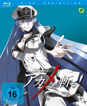 Akame ga Kill! - Staffel 1 - Vol. 4 (Limited Edition)