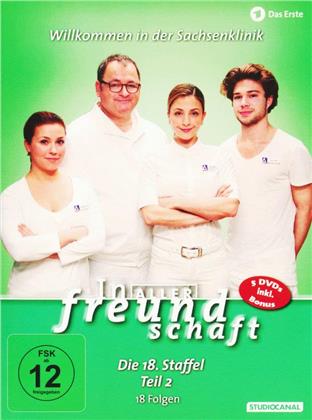 In aller Freundschaft - Staffel 18.2 (5 DVDs)