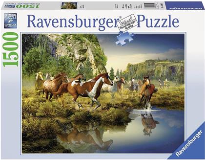 Puzzle-Wild Horses